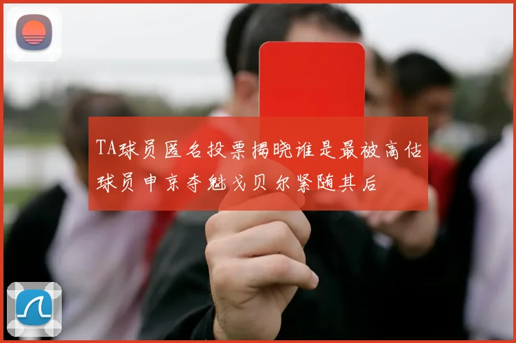 TA球员匿名投票揭晓谁是最被高估球员申京夺魁戈贝尔紧随其后