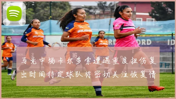 马竞中场卡尔多索遭遇重度扭伤复出时间待定球队将密切关注恢复情况